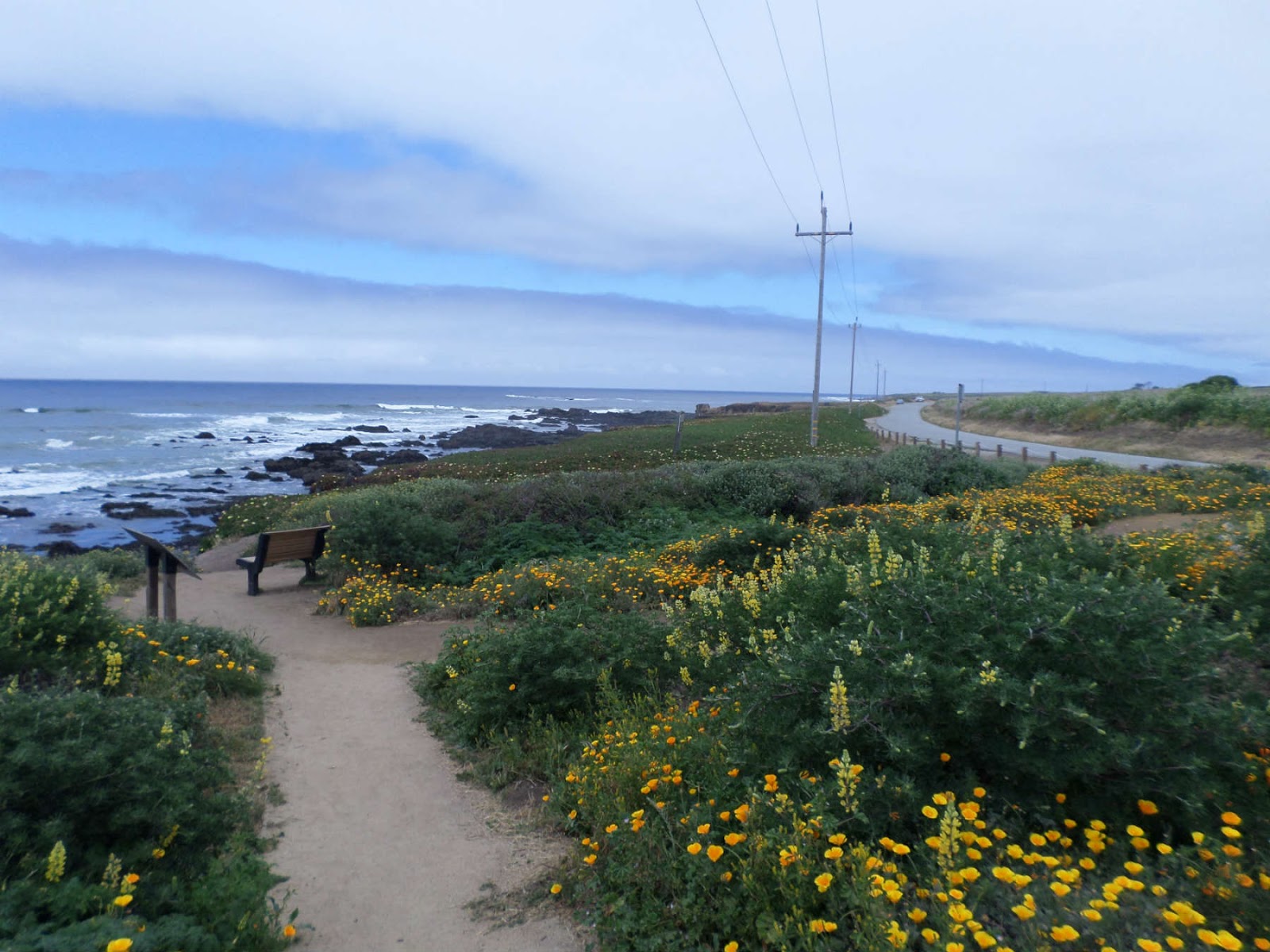 dicas viagem roatrip california monterey carmel