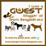 JFF Guest Blogger