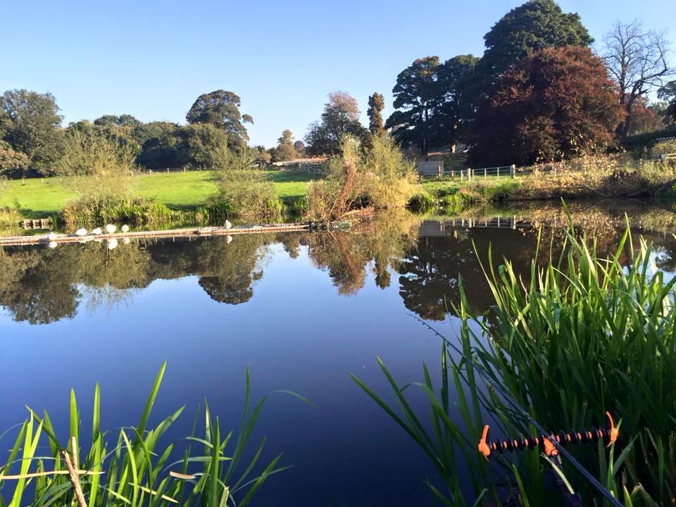 UK fishing venues Swillington Park (Lake 1) Venue Review