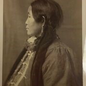 Smithsonian Collections Blog: Accessing the Bonaparte Collection at the