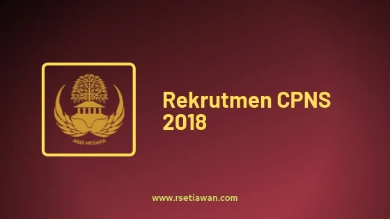 6 point persiapan kamu dalam menghadapi penerimaan CPNS agar lancar jaya