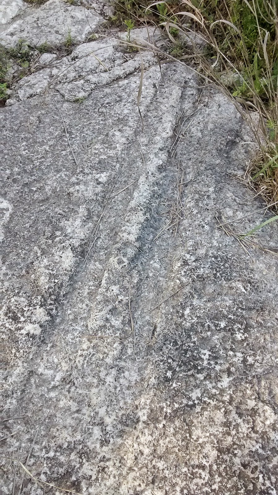 Trails and Tales of Old Austin and Travis County: Wagon Ruts on Bull Creek?