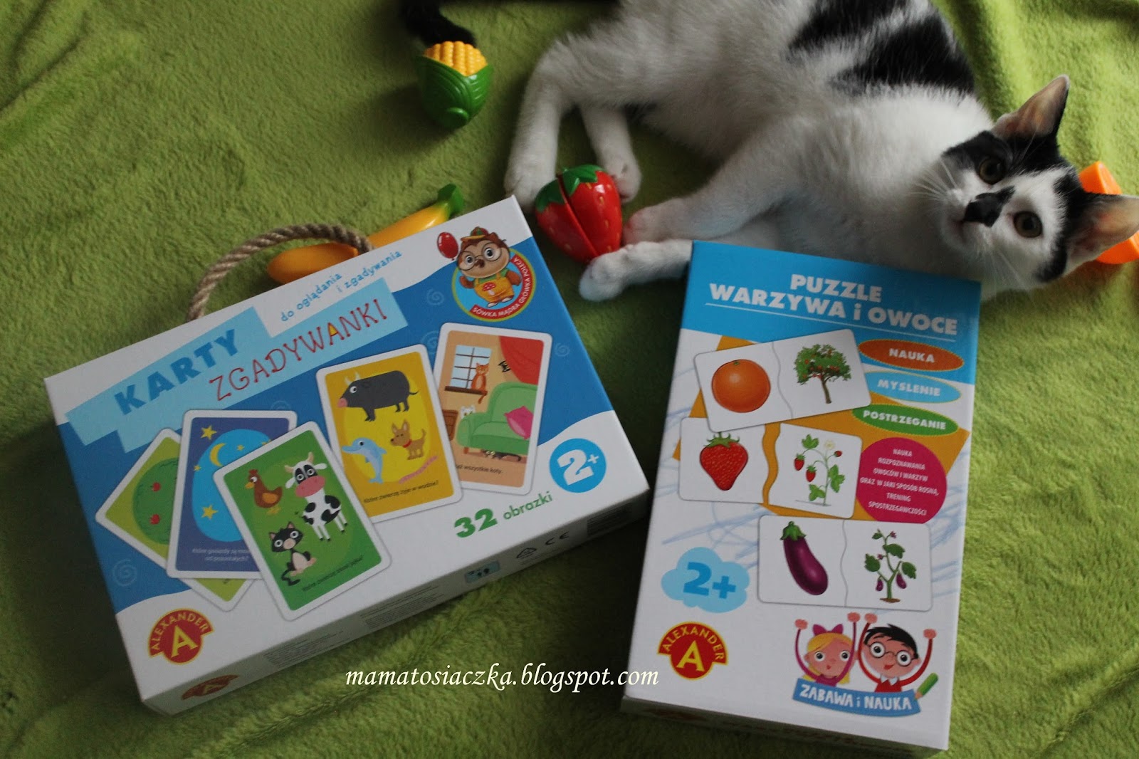 Puzzle I Zgadywanki Czyli Gry Edukacyjne Idealne Dla 2 Latka Nasz Hit