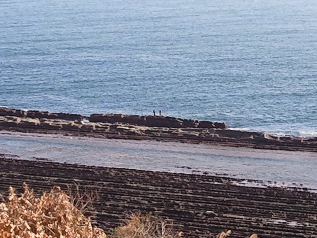 写真に写っているちょっと不気味な「物体」が何か分かりますか?