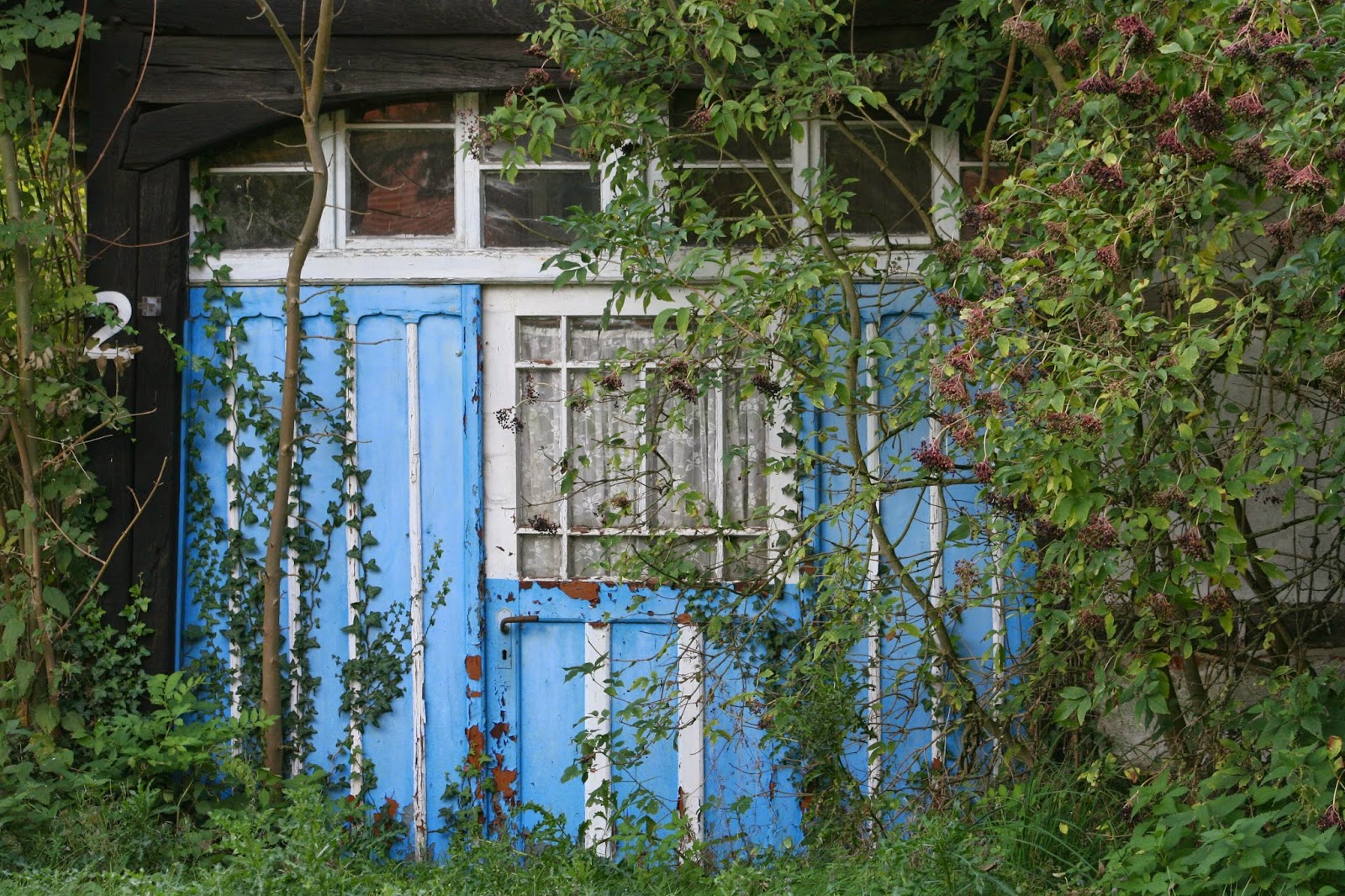 Miesi: Kleines Haus mit blauer Tür