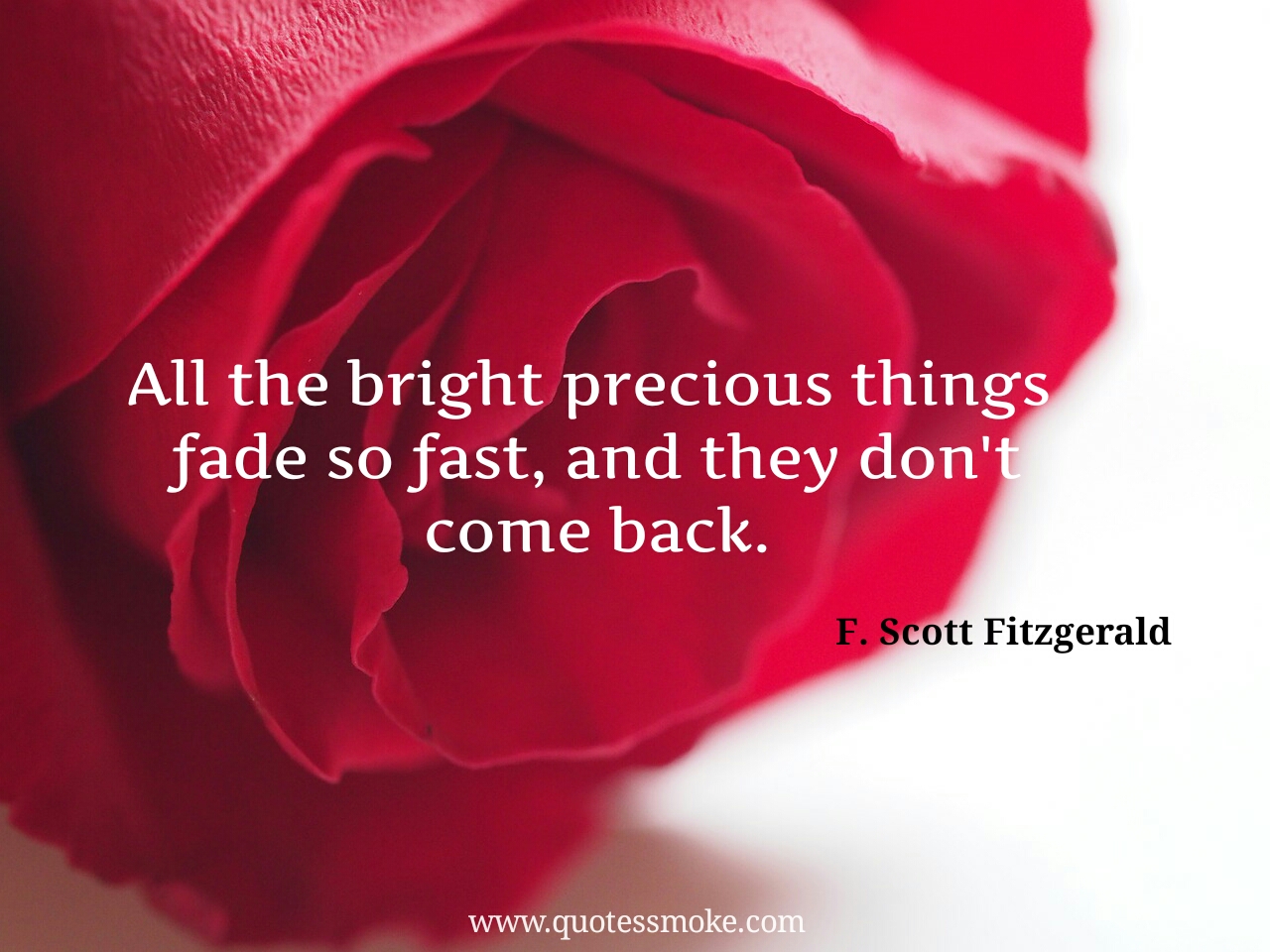 25 Best F Scott Fitzgerald Love Quotes To Look Into You And Life Inspirational Quotes Quotes Smoke