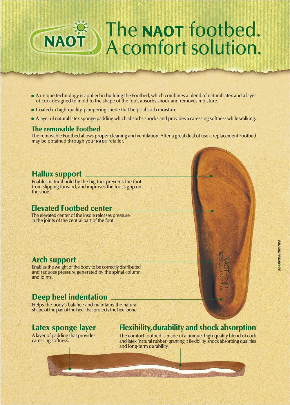 E.G. Geller Shoes October 2011