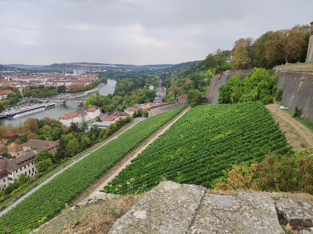 Виноробство у Німеччині