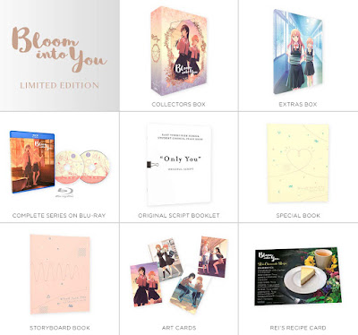 Bloom Into You Series Limited Edition Premium Boxset Content