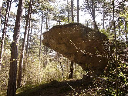 Cityguide Bangkok Transglobal Pan Party