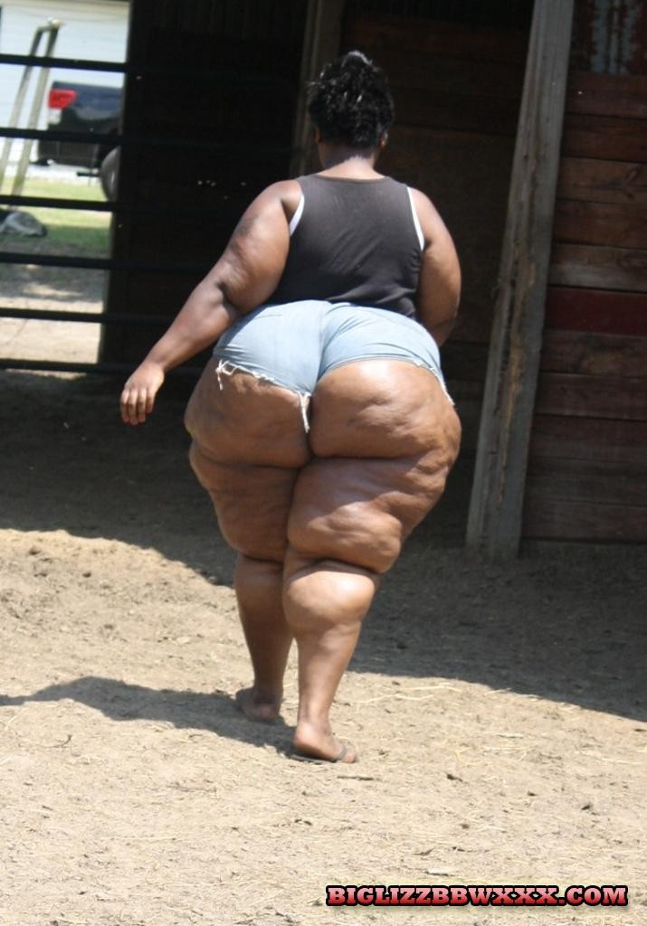 BBW LOVE: BIG LIZZ FAZENDA