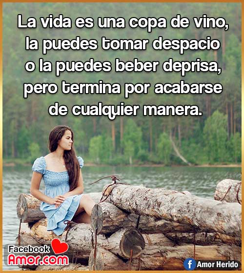 foto con frase vida foto con frase vida