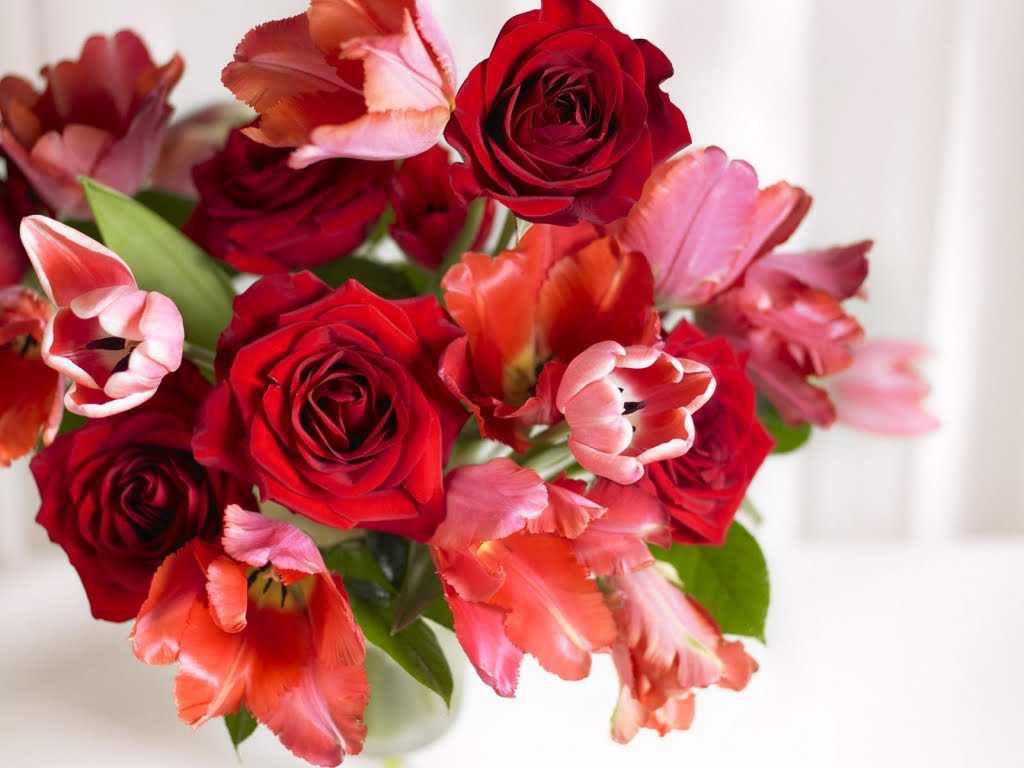 http://3.bp.blogspot.com/-Ygo7AJ8l-qk/TcW1IHRH6zI/AAAAAAAAAB8/sNa0PfA6erg/s1600/Arrangement-of-roses-and-tulips-download-free-wallpapers-for-desktop-plant-flowers.jpg