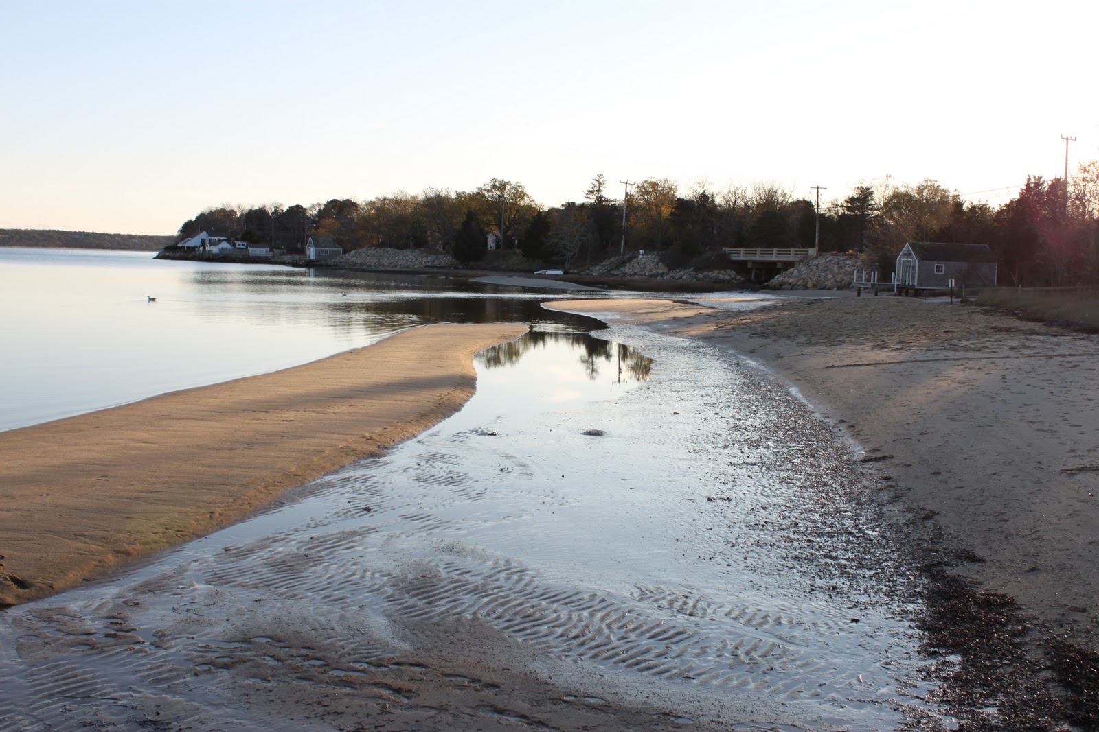 The Royal Dish Pleasant Day Pleasant Bay