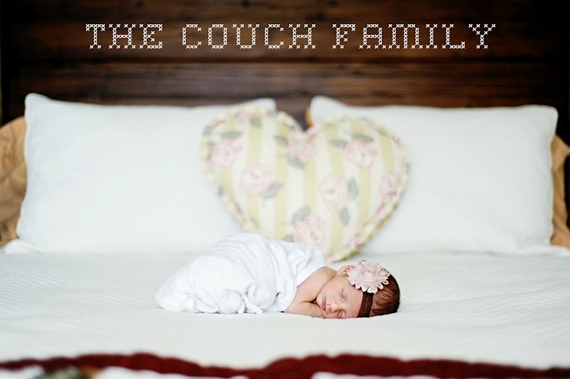 The Couch's Nest