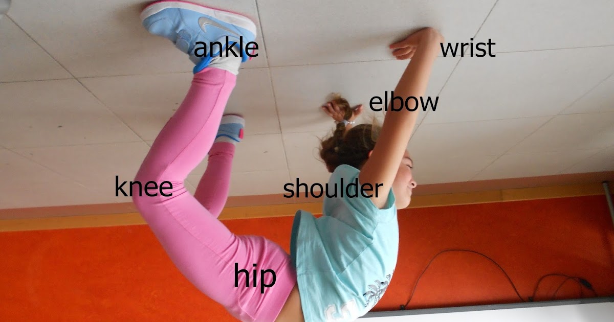 ENGLISH 3RD SCIENCE. NOEMI´S FLEXIBLE JOINTS