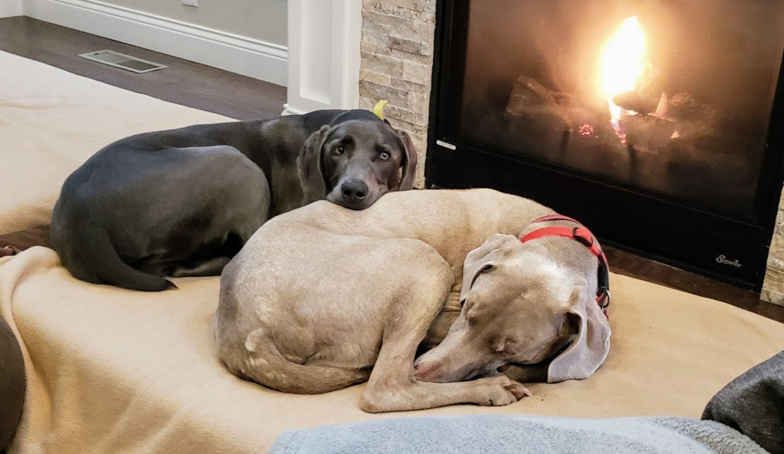 Columbus Bourbon A Short Trip Through The Bourbon Trail The