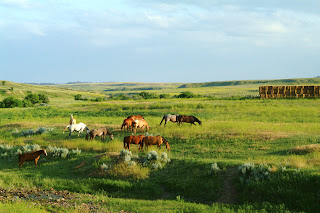 The Matthew's Blog: Large Western Ranches for Sale – Best Places to Live