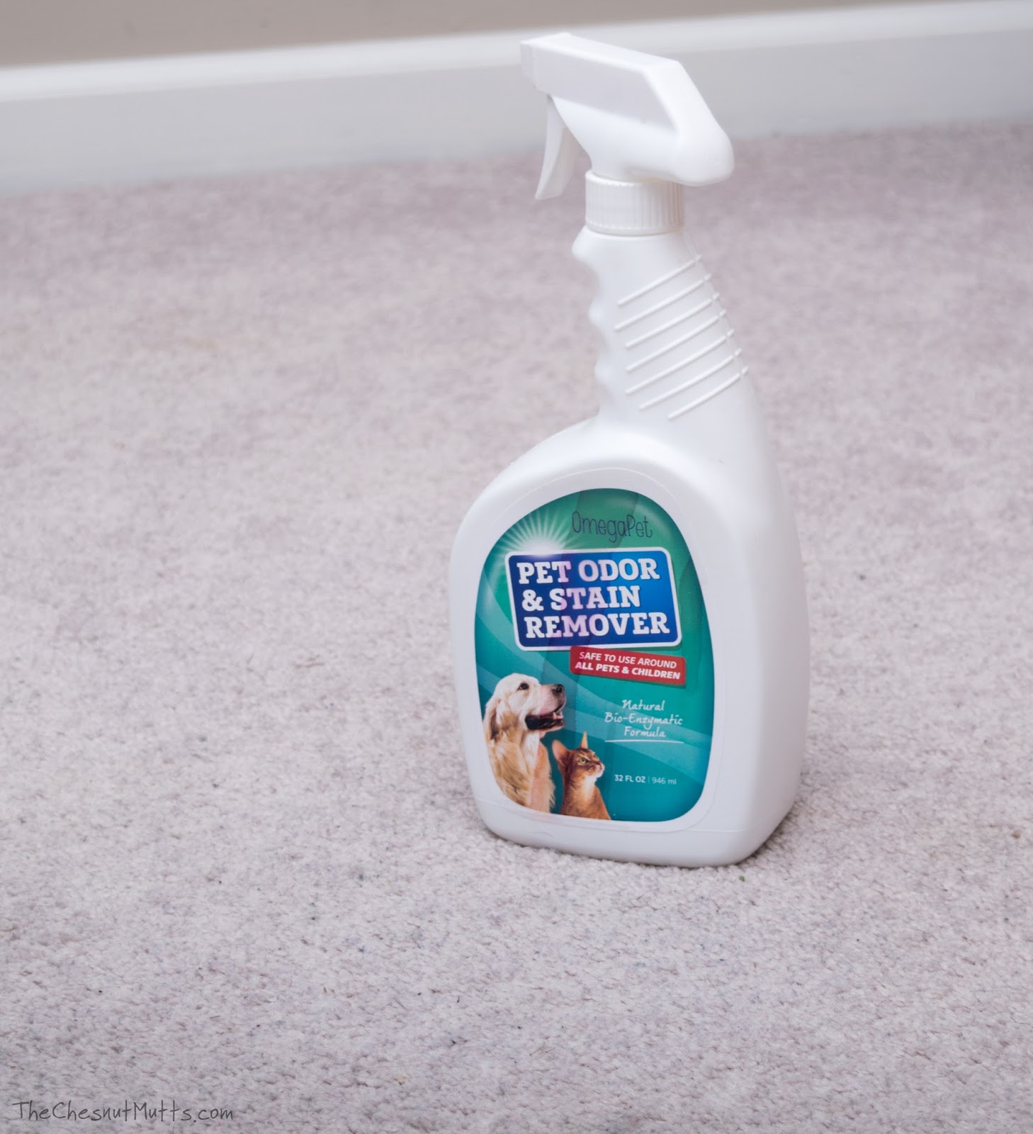 Review & Giveaway Cleaning up "Accidents" with OmegaPet's Pet Odor