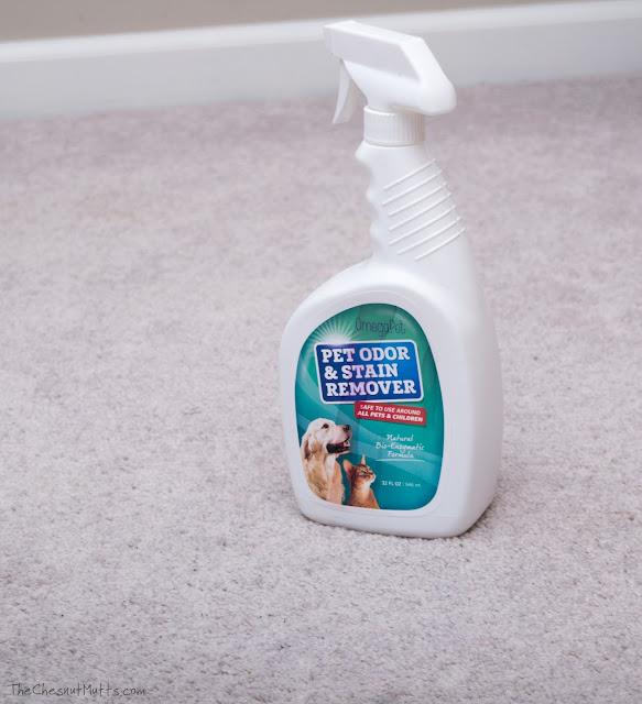 Review & Giveaway Cleaning up "Accidents" with OmegaPet's Pet Odor