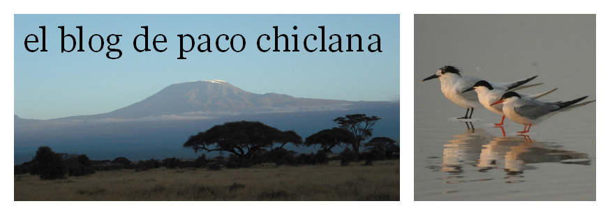 el blog de paco chiclana