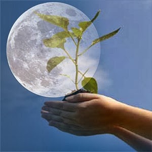 ☥ Moon Planting ☥