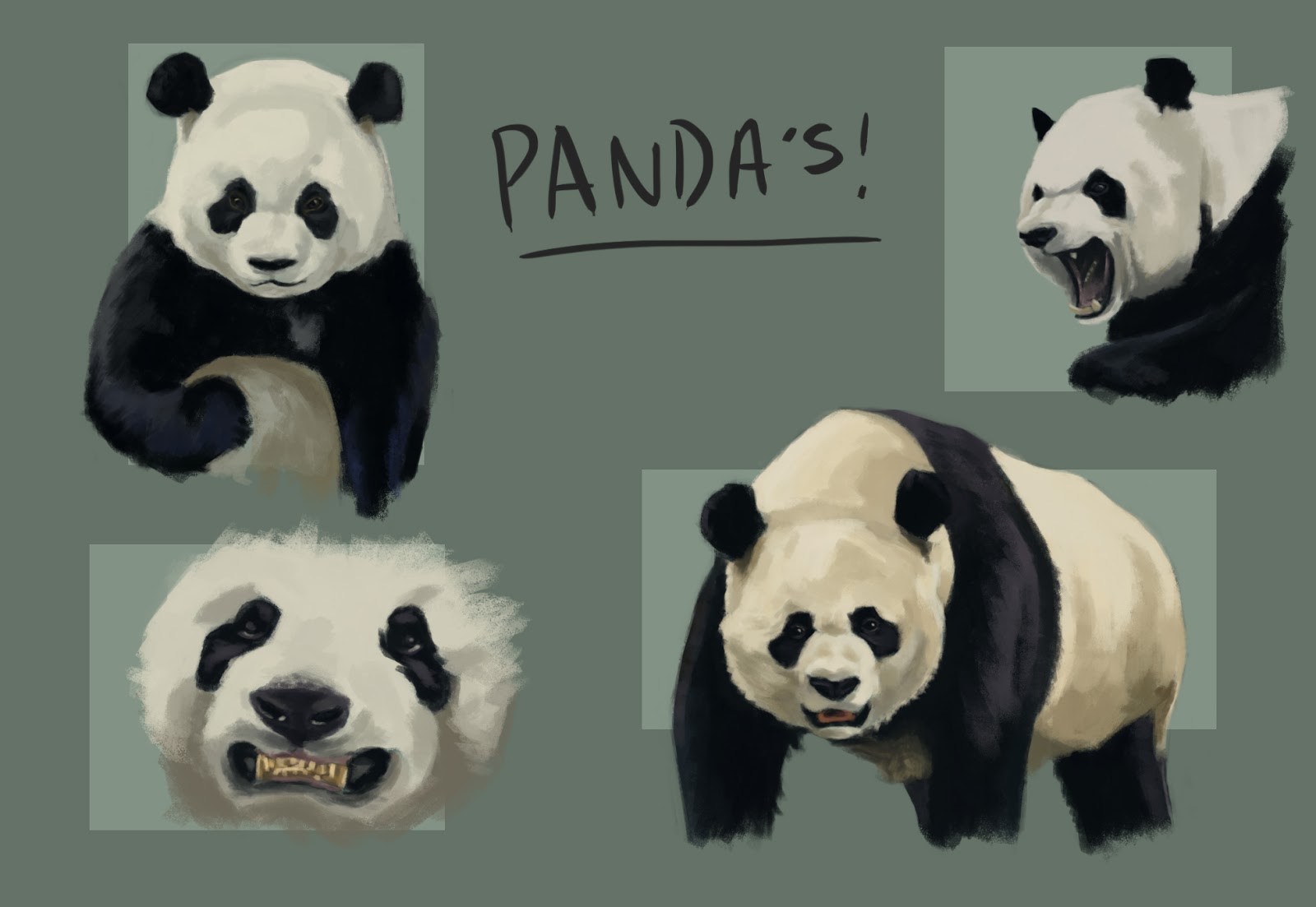[Image: BS14-panda+studies.jpg]
