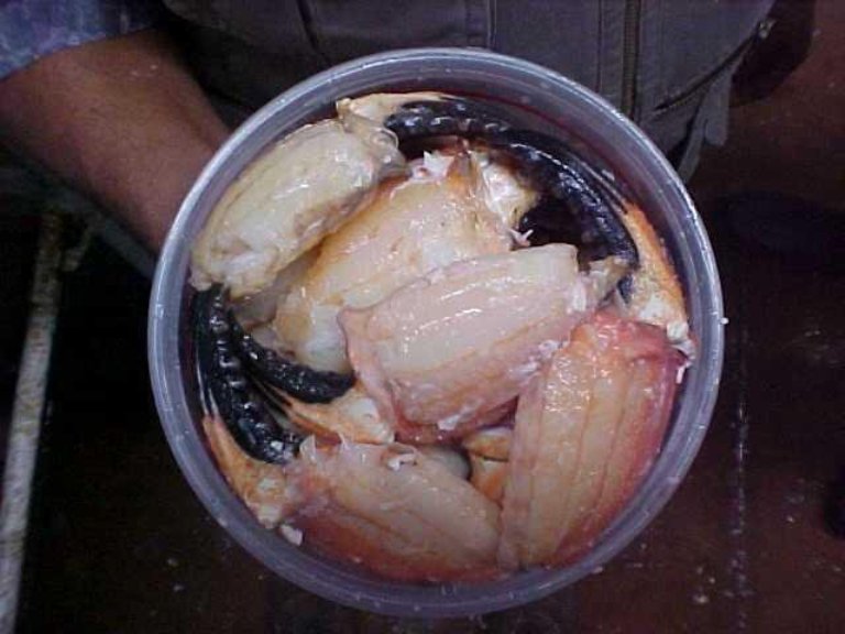 Crab Meat Supplier, Crab Canning Factory, Crab Farming, Crab Meat From