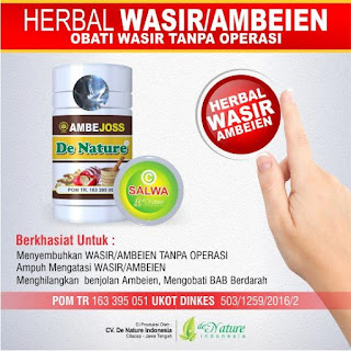 Cara Menyembuhkan Wasir Dalam dan Wasir Luar Secara Alami