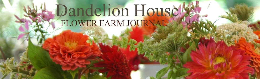 deborah jean's DANDELION HOUSE and GARDEN  