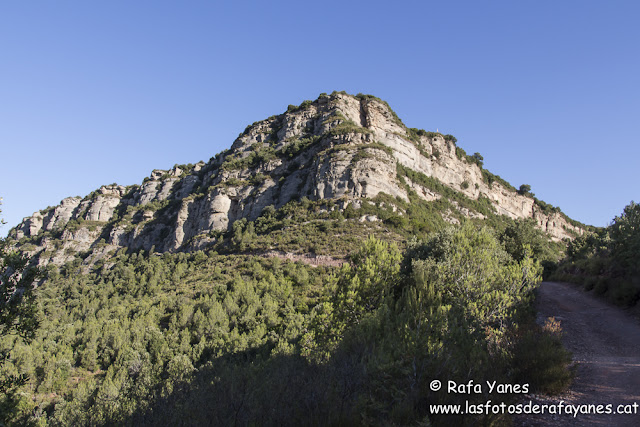 Ruta: Puiggraciós (808 m) (Els 100 Cims)