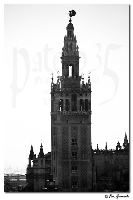 Blog de imágenes cófrades en Sevilla - Foro Sitios Web de Viajes