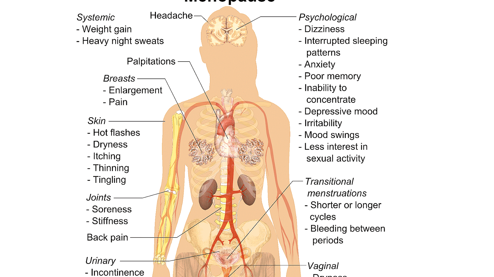 Post Hysterectomy Menopause Symptoms Menopause Choices