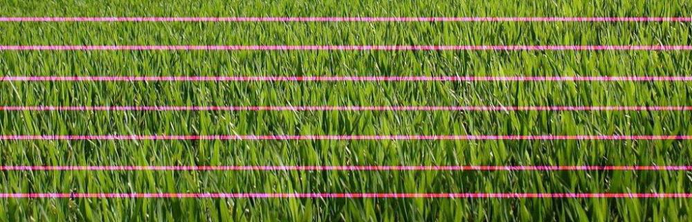 epson L565 Reset , lines on printing , L210, L130 , L220, L310, L360, L365