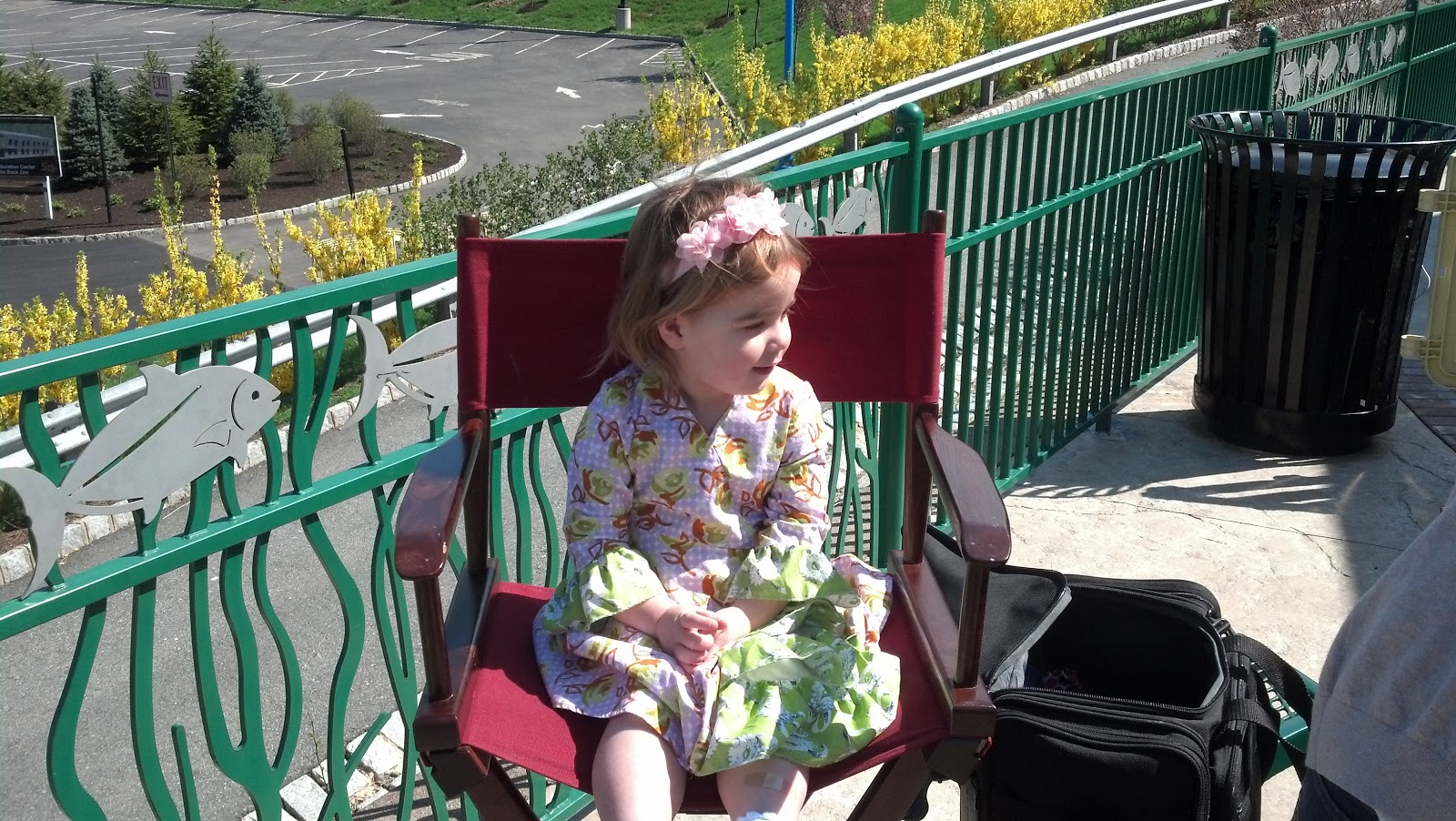 Isabella Lee Shears 3rd Birthday Party at Turtle Back Zoo