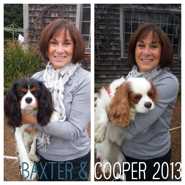 Joni with Baxter & Cooper