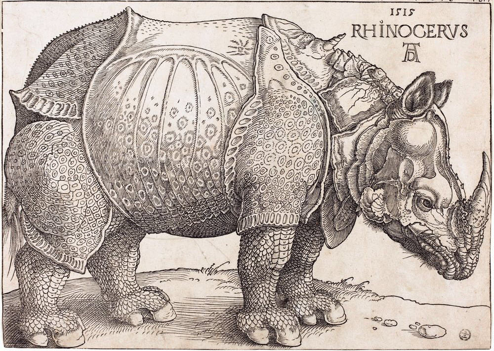 Dürer's Rhinoceros