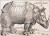 Dürer's Rhinoceros: A 16th-Century Viral Fake