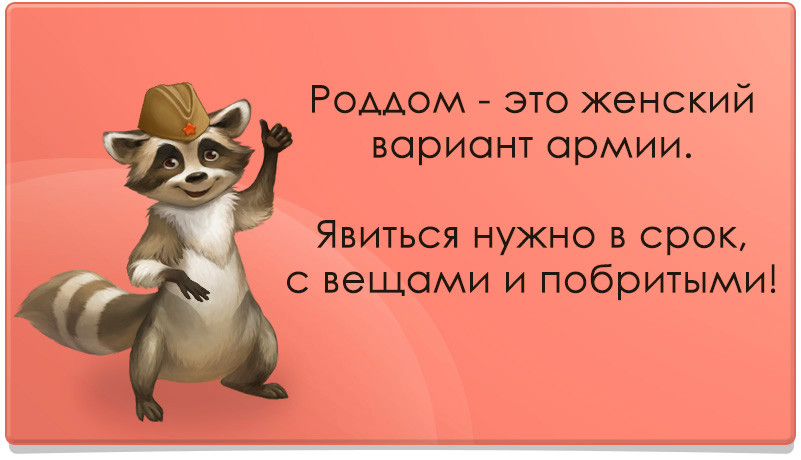 Является нужным. Почему конфликт это плохо. Правила работы в команде. Сортировка 5с. Конфликт.