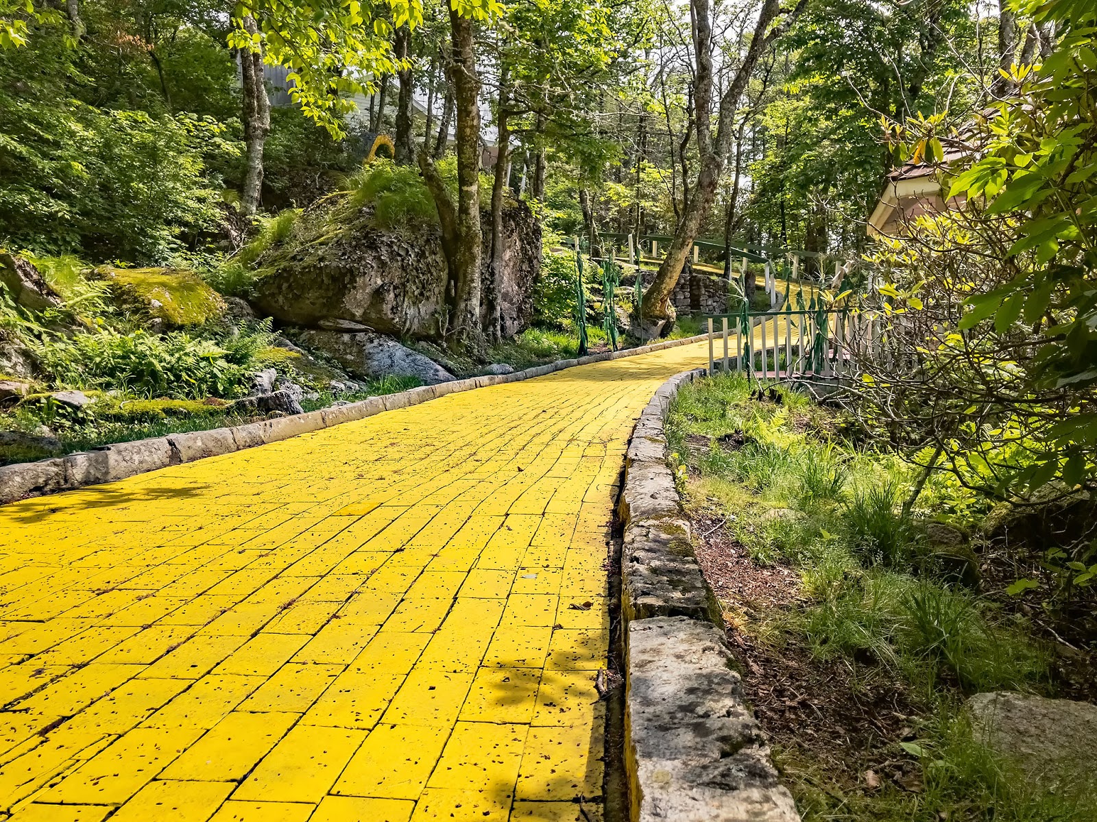 Bubba's Garage Our Journey with Dorothy to the Land of Oz