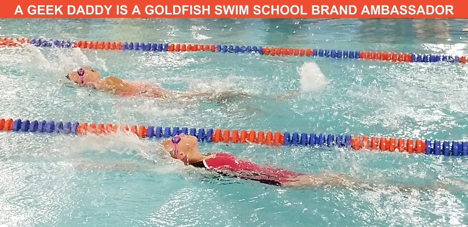 A GEEK DADDY FIRST SWIM FORCE SWIMMING MEET