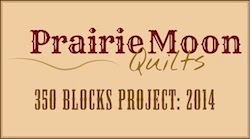 350 Blocks Project: 2015