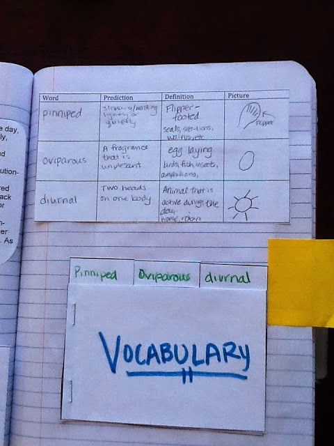 teaching-science-with-lynda-vocabulary-for-interactive-notebooks