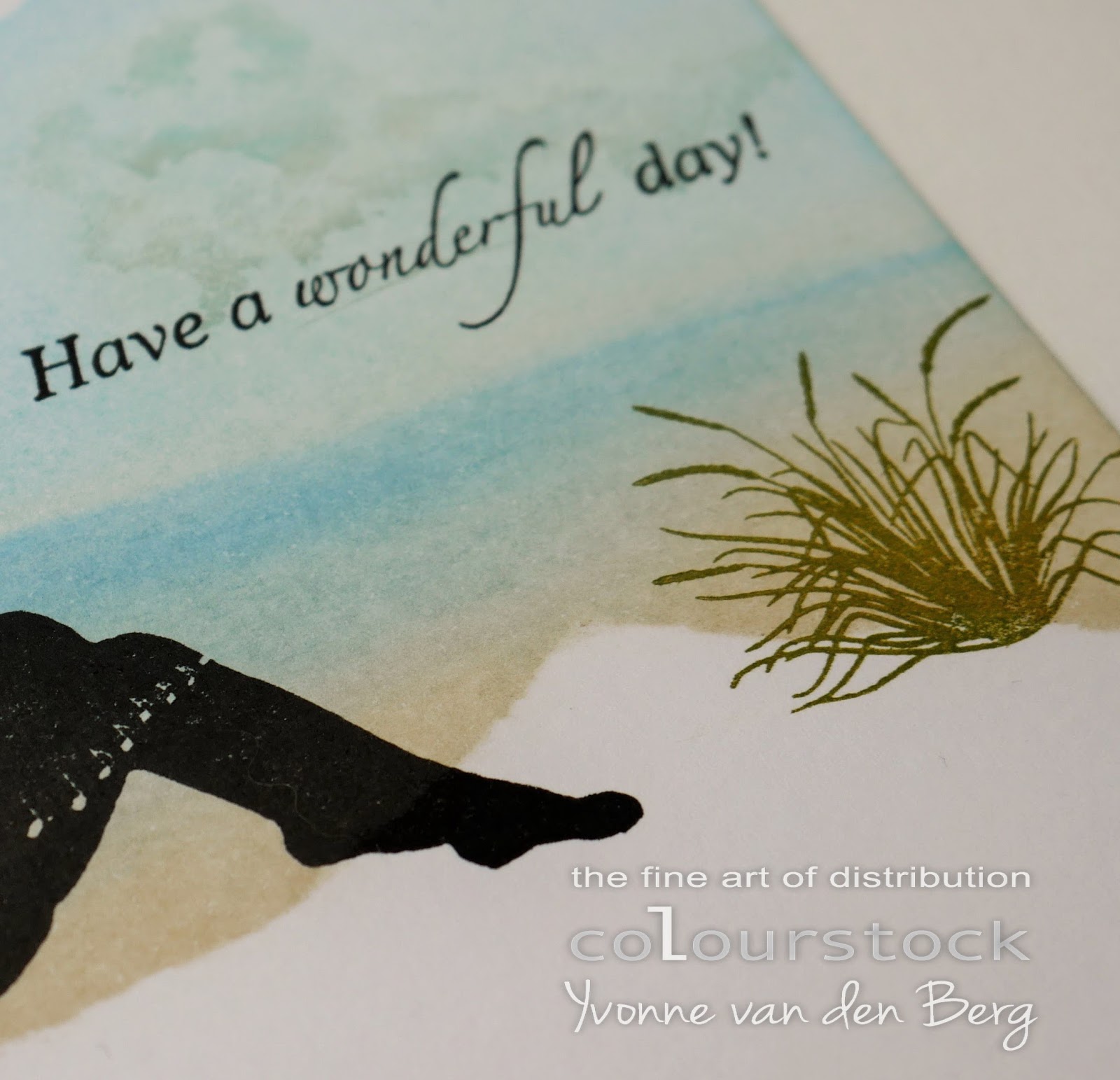 Colourstock: Have a wonderful day