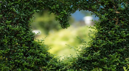 What is Heart Attack and How it is Caused Heart Attack