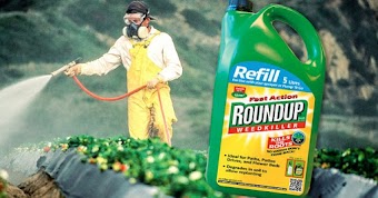 Monsanto é condenada a pagar US$ 80 milhões por conta do Roundup causar câncer