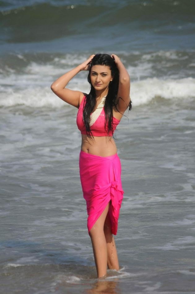 Actress Neelam Upadhyay Latest Navel Show photos