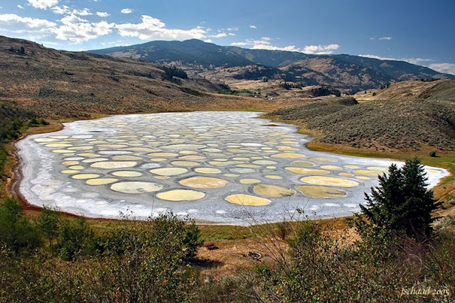 بحيرة رقطاء Spotted-lake-1%5B2%5D