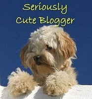 Seriously Cute Blogger Award