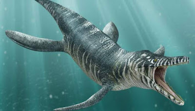 Βρέθηκε ναύαγιο γερμανικού υποβρυχίου του Α'ΠΠ - Το είχε βυθίσει θαλάσσιο τέρας; (φωτό)  